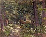 Path in the Woods